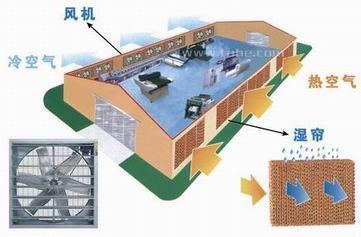 廠房車間負壓降溫係統